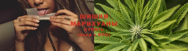 гидропоника Аркадак