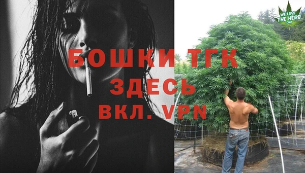 гидропоника Аркадак