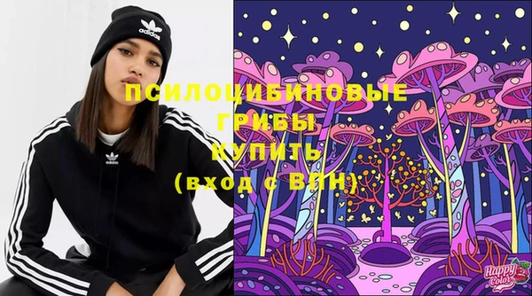 гидропоника Аркадак