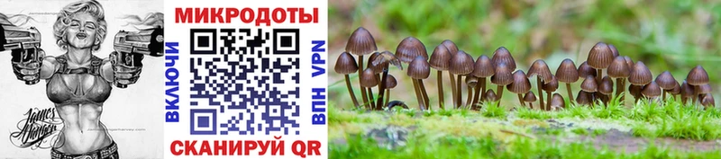 Псилоцибиновые грибы Cubensis  сколько стоит  Уржум 